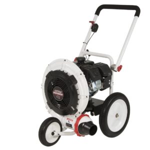 Blowers, Vacuums & Rotary Brooms